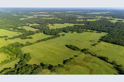 Tbd SW County Road 3250, Winnsboro, TX 75494 - Photo 4