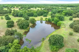 580 Vz County Road 3518, Wills Point, TX 75169 - Photo 6