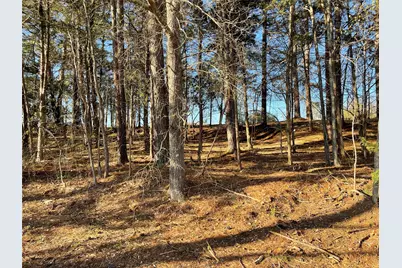 Tbd Lot 6 County Road 2200, Mineola, TX 75773 - Photo 10