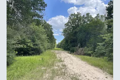 108 Fcr #525, Fairfield, TX 75840 - Photo 6