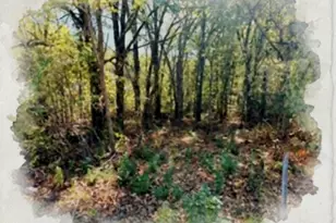 207 Acres Loop, Gun Barrel City, TX 75156 - Photo 1