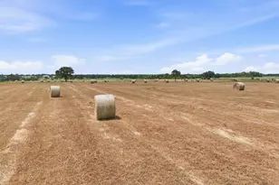 618 Hwy 2731, Rising Star, TX 76471 - Photo 32