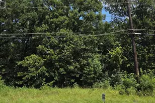 0 Double Bridge Rd, Mabank, TX 75156 - Photo 1