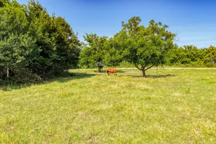 Laramie Tbd N Fm 51, Weatherford, TX 76088 - Photo 16