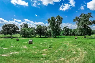 8727 S Fm 69, Como, TX 75431 - Photo 36