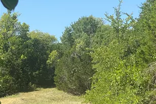 3401 Frontier Trail, Granbury, TX 76048 - Photo 1