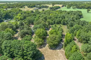 16973 FM773, Ben Wheeler, TX 75754 - Photo 4