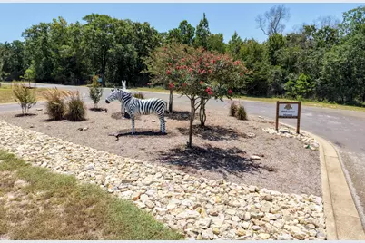 9236 Safari Bluff, LaRue, TX 75770 - Photo 36