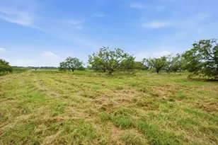 5599 S Fm 113, Millsap, TX 76066 - Photo 36