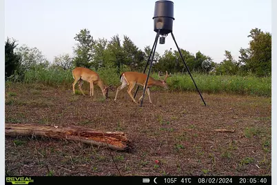 Lot 8 Fm-85, Ennis, TX 75119 - Photo 24