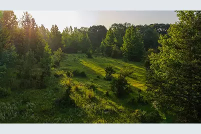 0000 Vz County Road 4912, Ben Wheeler, TX 75754 - Photo 2