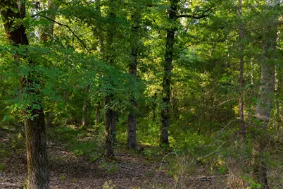 0000 Vz County Road 4912, Ben Wheeler, TX 75754 - Photo 12