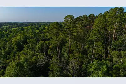 0000 Vz County Road 4912, Ben Wheeler, TX 75754 - Photo 36