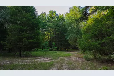 0000 Vz County Road 4912, Ben Wheeler, TX 75754 - Photo 28