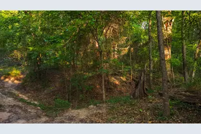 0000 Vz County Road 4912, Ben Wheeler, TX 75754 - Photo 26