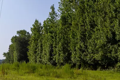 0000 Vz County Road 4912, Ben Wheeler, TX 75754 - Photo 22