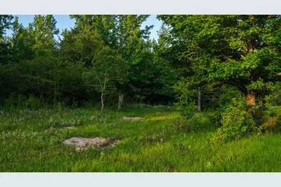 0000 Vz County Road 4912, Ben Wheeler, TX 75754 - Photo 20
