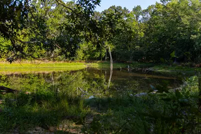 0000 Vz County Road 4912, Ben Wheeler, TX 75754 - Photo 4