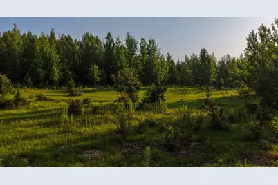 0000 Vz County Road 4912, Ben Wheeler, TX 75754 - Photo 18