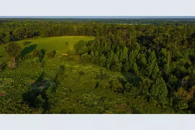 0000 Vz County Road 4912, Ben Wheeler, TX 75754 - Photo 32