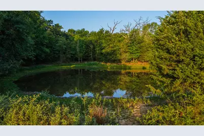 0000 Vz County Road 4912, Ben Wheeler, TX 75754 - Photo 6