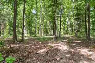 3374 FM 1652, Grand Saline, TX 75140 - Photo 34
