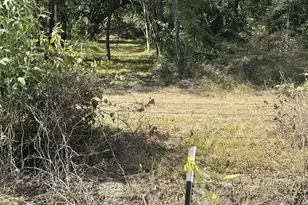 Tbd County Road 4744, Sulphur Springs, TX 75482 - Photo 6