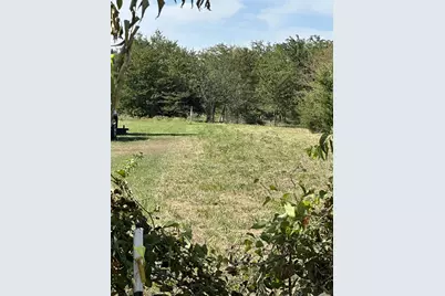 Tbd County Road 4744, Sulphur Springs, TX 75482 - Photo 8