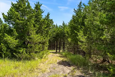 976 Fm 2194, Farmersville, TX 75442 - Photo 32