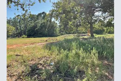 133 Firefly Drive, Springtown, TX 76082 - Photo 2