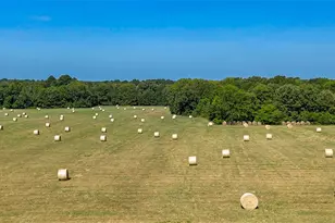 457 Co Rd 3270, Mineola, TX 75773 - Photo 14