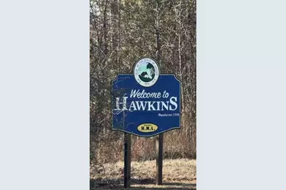 Tbd Cr 3841 #Tract 64, Hawkins, TX 75765 - Photo 4