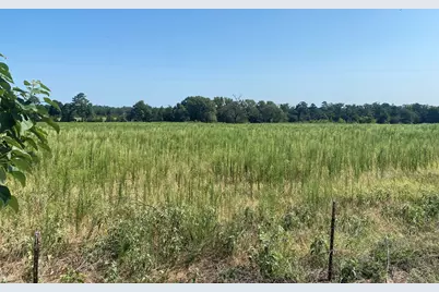 000 Cr 1323, Pittsburg, TX 75686 - Photo 2