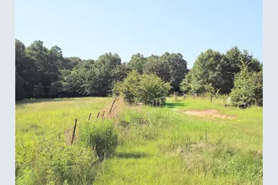 570 An County Road 2419, Montalba, TX 75853 - Photo 24