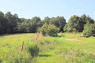 570 An County Road 2419, Montalba, TX 75853 - Photo 24