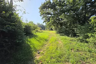 570 An County Road 2419, Montalba, TX 75853 - Photo 20