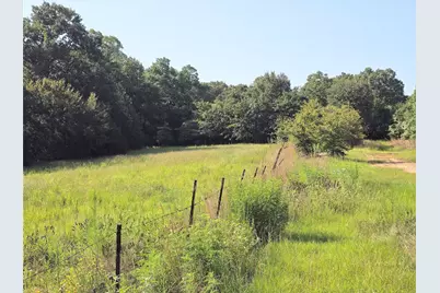570 An County Road 2419, Montalba, TX 75853 - Photo 26
