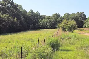 570 An County Road 2419, Montalba, TX 75853 - Photo 26