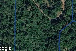 570 An County Road 2419, Montalba, TX 75853 - Photo 18
