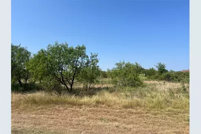 1090 Pheasant Court, Possum Kingdom Lake, TX 76449 - Photo 6