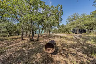 417 Wood River Rd, Millsap, TX 76066 - Photo 16