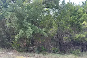 18038 & 18039 Southhill Dr, Whitney, TX 76692 - Photo 1