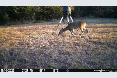0000 County Road 4519, Wolfe City, TX 75496 - Photo 1