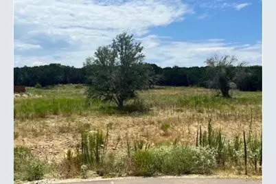 2047 Lacee Court, Granbury, TX 76048 - Photo 4