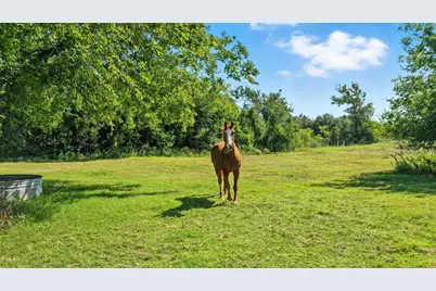 5929 County Road 371, Dublin, TX 76446 - Photo 38