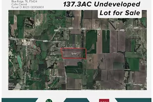 Tbd 137 3Ac County Road 832, Blue Ridge, TX 75424 - Photo 1