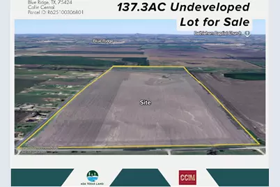 Tbd 137.3Ac County Road 832, Blue Ridge, TX 75424 - Photo 2