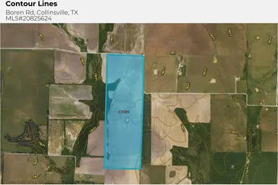 200.96Ac Davis Road, Collinsville, TX 76233 - Photo 8