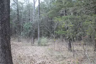 9603 County Road 2404, Kemp, TX 75143 - Photo 30