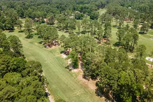 2045 W Holly Trail, Holly Lake Ranch, TX 75765 - Photo 28